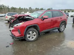 2T3P1RFV8PW387552 2023 TOYOTA RAV 4