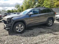 2T3P1RFV8RC402958 2024 TOYOTA RAV 4