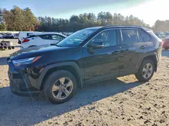 2T3P1RFV8RC415886 2024 TOYOTA RAV 4