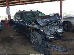 2T3P1RFV8RC421817 2024 TOYOTA RAV 4