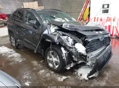 2T3P1RFV8RC442232 2024 TOYOTA RAV 4
