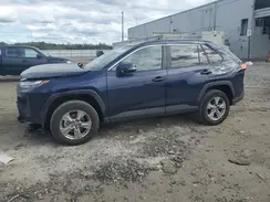 2T3P1RFV8RW453035 2024 TOYOTA RAV 4