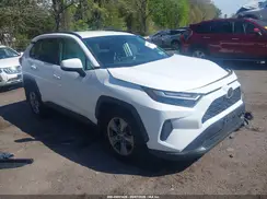 2T3P1RFV8RW456775 2024 TOYOTA RAV 4