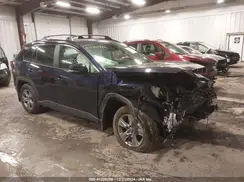 2T3P1RFV8RW460101 2024 TOYOTA RAV 4