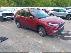 2T3P1RFV8RW494362 2024 TOYOTA RAV 4