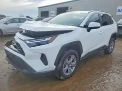 2T3P1RFV8SC503469 2025 TOYOTA RAV 4