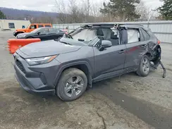 2T3P1RFV8SC548007 2025 TOYOTA RAV 4