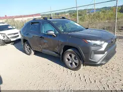 2T3P1RFV8SW504300 2025 TOYOTA RAV 4
