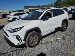 2T3P1RFV8SW524109 2025 TOYOTA RAV 4