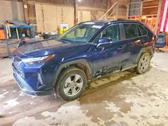 2T3P1RFV8SW530489 2025 TOYOTA RAV 4