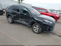 2T3P1RFV8SW536194 2025 TOYOTA RAV 4