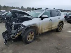 2T3P1RFV8SW629197 2025 TOYOTA RAV 4