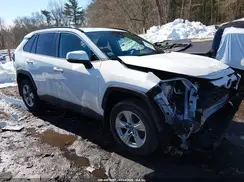 2T3P1RFV9KC005037 2019 TOYOTA RAV 4