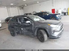 2T3P1RFV9LW136825 2020 TOYOTA RAV 4