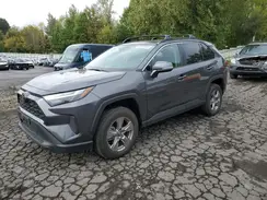 2T3P1RFV9PC374584 2023 TOYOTA RAV 4