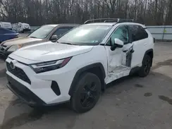 2T3P1RFV9PC390400 2023 TOYOTA RAV 4