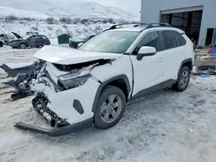2T3P1RFV9PW400826 2023 TOYOTA RAV 4