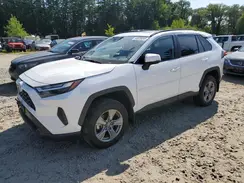 2T3P1RFV9RC445463 2024 TOYOTA RAV 4