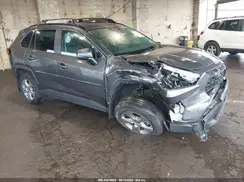 2T3P1RFV9RC466622 2024 TOYOTA RAV 4