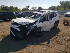 2T3P1RFV9RC486448 2024 TOYOTA RAV 4