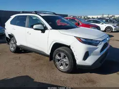 2T3P1RFV9RW415247 2024 TOYOTA RAV 4