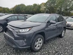 2T3P1RFVXKC020940 2019 TOYOTA RAV 4