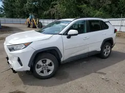 2T3P1RFVXKC023594 2019 TOYOTA RAV 4