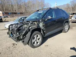 2T3P1RFVXMC167729 2021 TOYOTA RAV 4