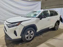 2T3P1RFVXPC325264 2023 TOYOTA RAV 4