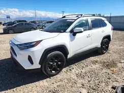 2T3P1RFVXPW352267 2023 TOYOTA RAV 4