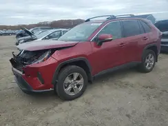 2T3P1RFVXPW356402 2023 TOYOTA RAV 4