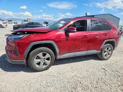 2T3P1RFVXPW361311 2023 TOYOTA RAV 4