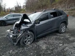 2T3P1RFVXPW384961 2023 TOYOTA RAV 4