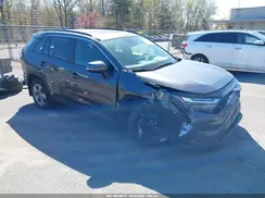 2T3P1RFVXRC397536 2024 TOYOTA RAV 4
