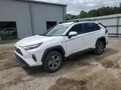 2T3P1RFVXRC416361 2024 TOYOTA RAV 4