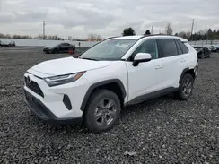 2T3P1RFVXRC428557 2024 TOYOTA RAV 4