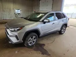 2T3P1RFVXRC442796 2024 TOYOTA RAV 4