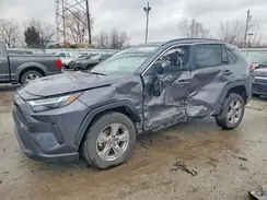 2T3P1RFVXRC465270 2024 TOYOTA RAV 4