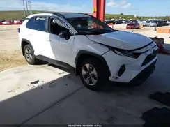 2T3P1RFVXRC485891 2024 TOYOTA RAV 4