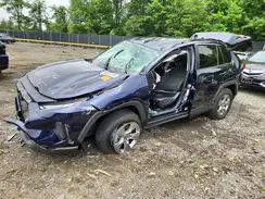 2T3P1RFVXRW436625 2024 TOYOTA RAV 4