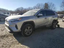 2T3P1RFVXRW436995 2024 TOYOTA RAV 4