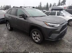 2T3P1RFVXSC510732 2025 TOYOTA RAV 4