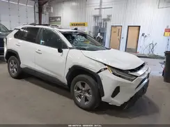 2T3P1RFVXSC528924 2025 TOYOTA RAV 4