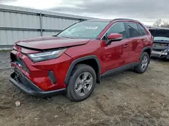 2T3P1RFVXSW579211 2025 TOYOTA RAV 4