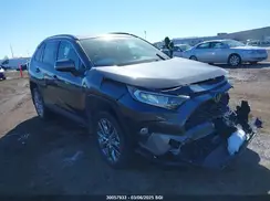 2T3R1RFV0KC035617 2019 TOYOTA RAV 4