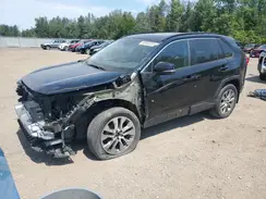 2T3R1RFV0LC068263 2020 TOYOTA RAV 4