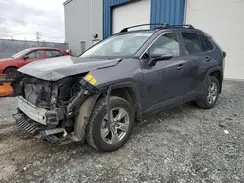 2T3R1RFV0NC310309 2022 TOYOTA RAV 4