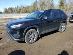 2T3R1RFV0PC387118 2023 TOYOTA RAV 4
