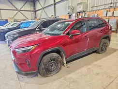 2T3R1RFV0PW351377 2023 TOYOTA RAV 4