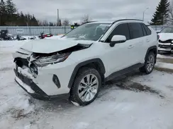 2T3R1RFV0PW391474 2023 TOYOTA RAV 4